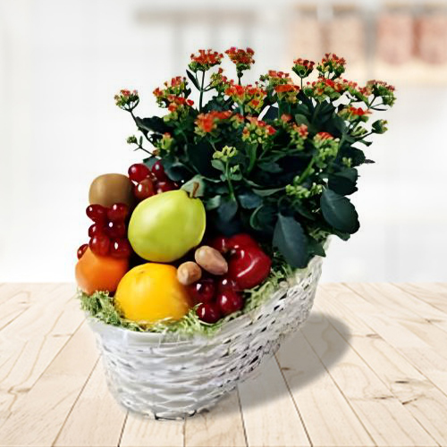 Seasonal Fruits And Plant Combo-Gift For Mom's Birthday