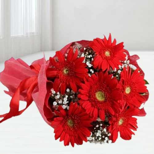 6 Red Gerbera Bouquet